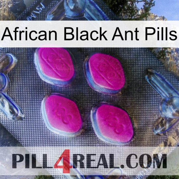 African Black Ant Pills 02.jpg